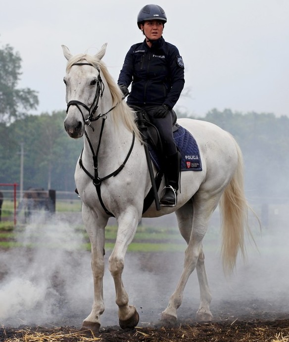 Kochani, potrzebna jest krew dla naszej koleżanki …