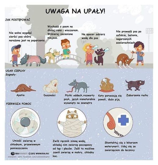 Upały nie odpuszczają😔. Pamiętajcie, że dla …