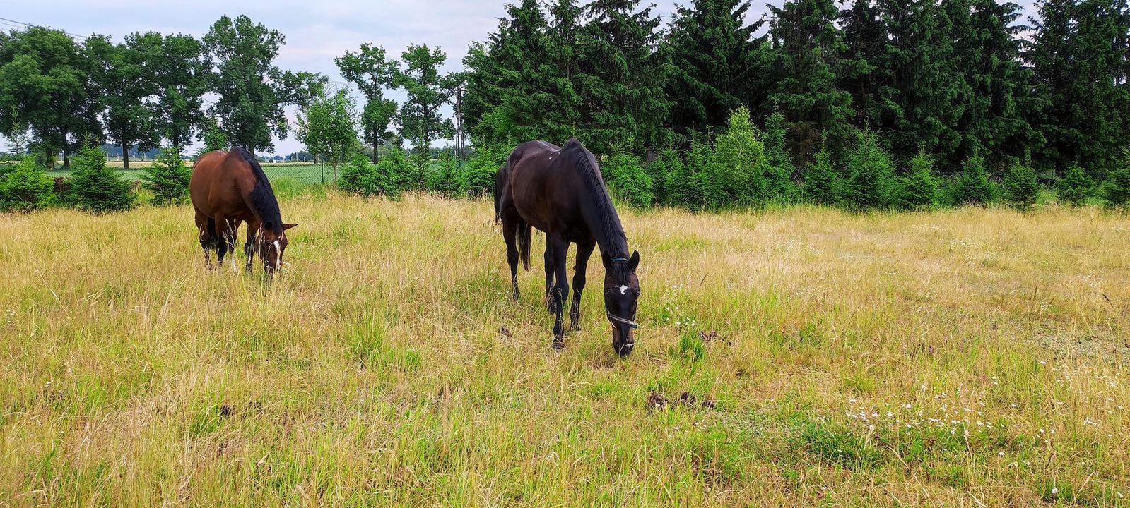 Popadało, zagrzmiało, chłopaki w błocie …