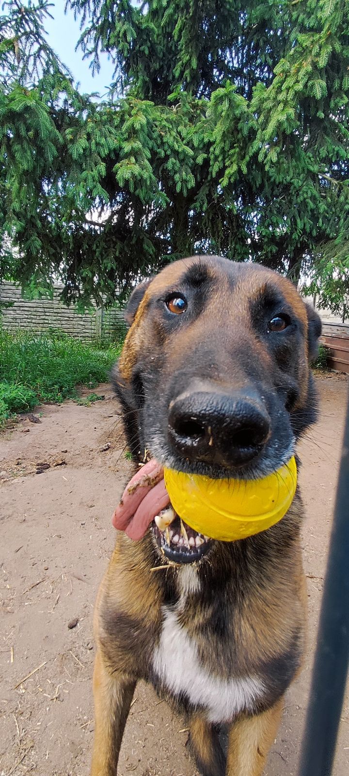 Dzień doberek, z tej strony Bandziorek😁. Te …