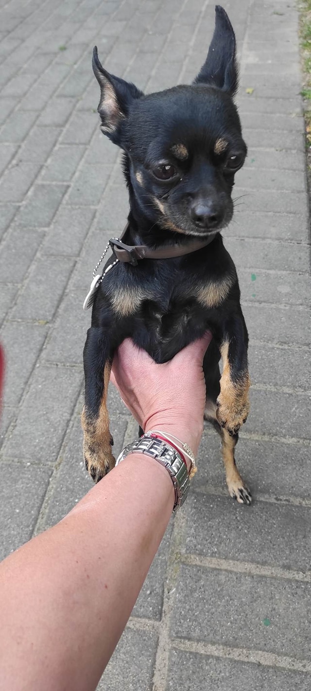 Dzisiaj na Osiedlu Konstytucji w Jarocinie …