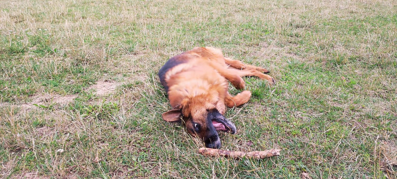 Wczorajszy dzień głupich minek w wykonaniu …