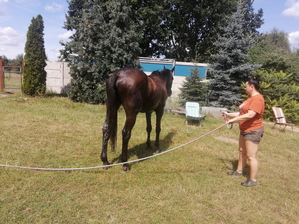 My czystości nie lubimy, …