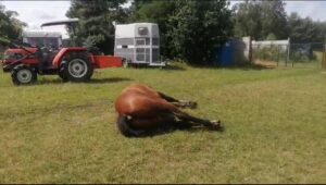 Nie będą na mnie Klusek mówić 😈. I …