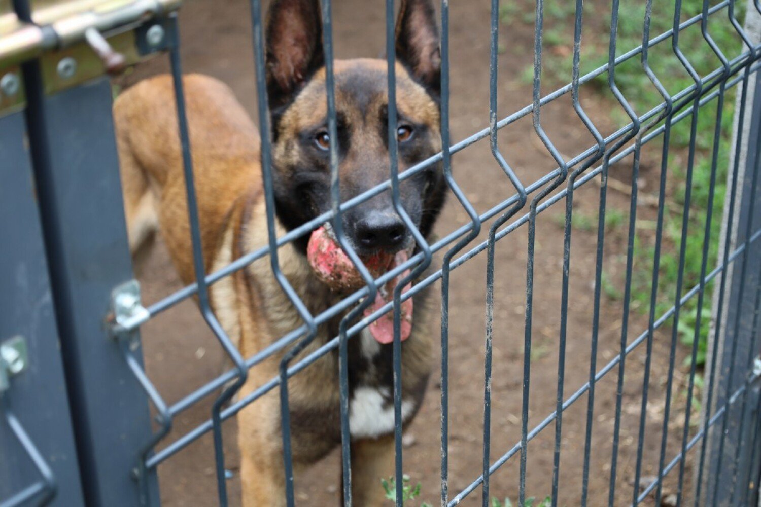 Zapraszamy do przeczytania, posłuchania i prosimy …