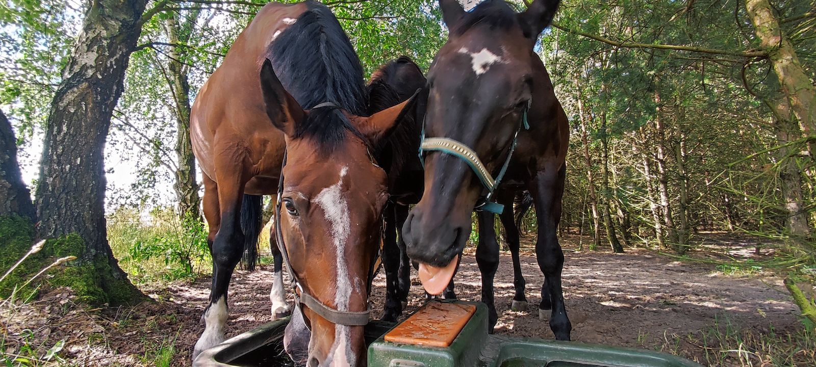 Gdy chcesz zrobić fajne zdjęcie, i akurat …