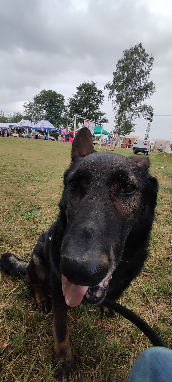 Al reprezentuje dzisiaj Zakątek Weteranów na …