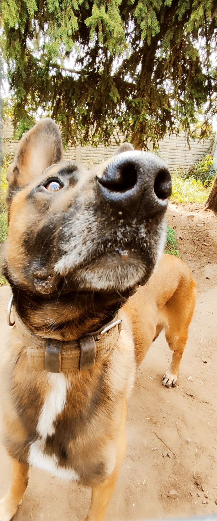 Wyniuchalem, że będą burze, kiedyś 😅