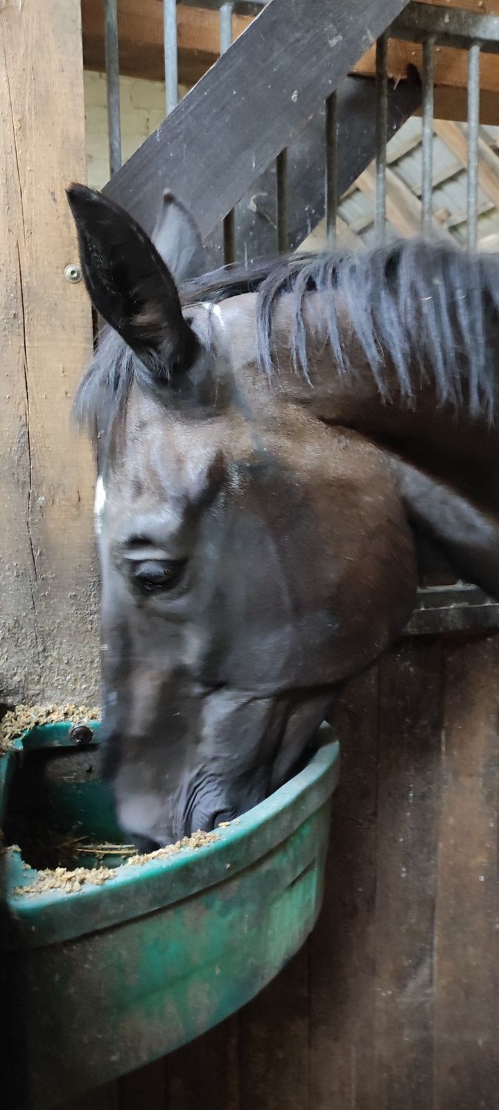 Śniadanie podane😋 Największy żarłok już …