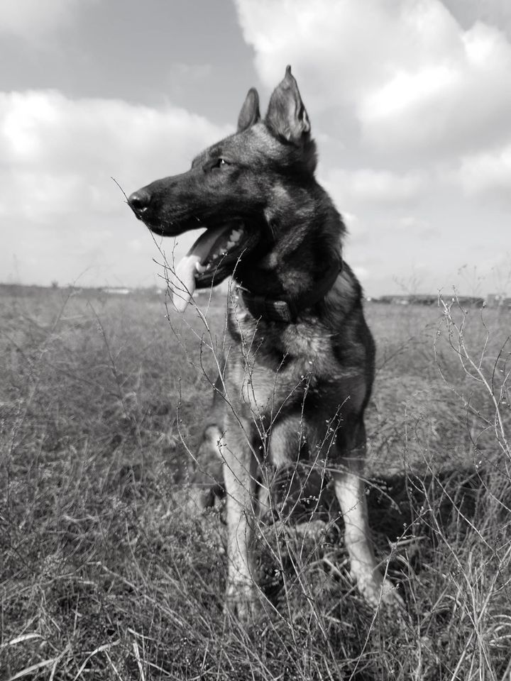 Kolejny futerkowy mundurowy powędrował za …