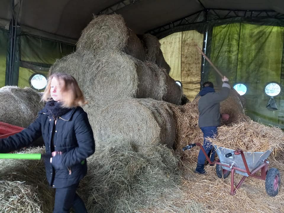 I po feriach🥺. Nasze zwierzaczki też lubią, …