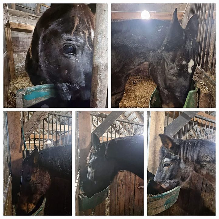 Jemy kolację😋. Nie podglądać nas🤪. Klamka …