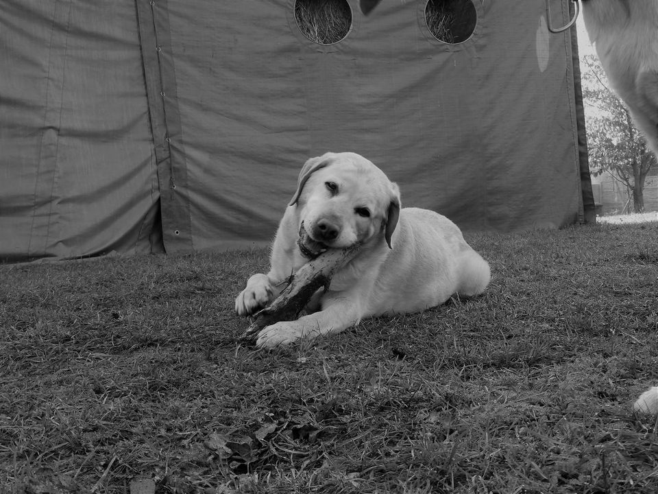 Wczoraj do Zakątka Weteranów dotarły prochy …