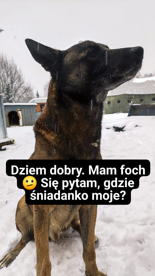 Barry to prawdziwy łakomczuch😬. Usiadł przy …