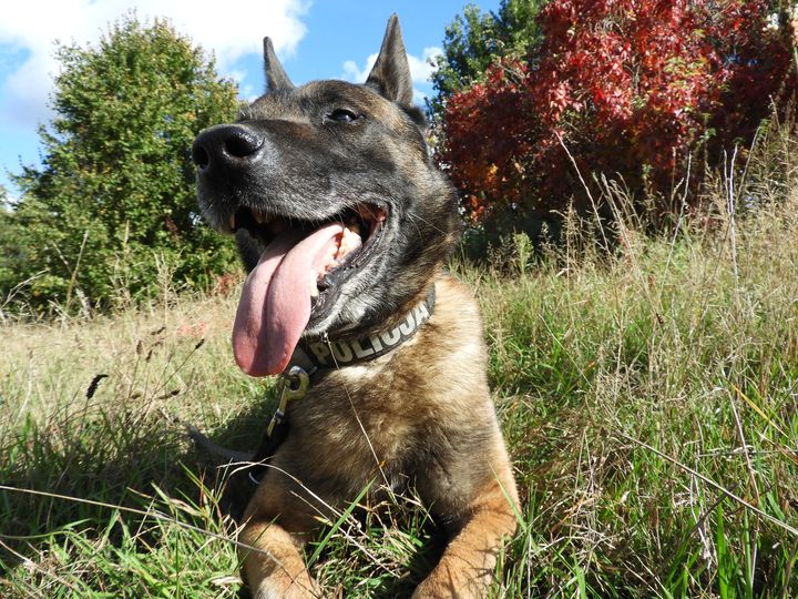 💯lat, 💯lat, 💯lat śpiewamy dzisiaj …