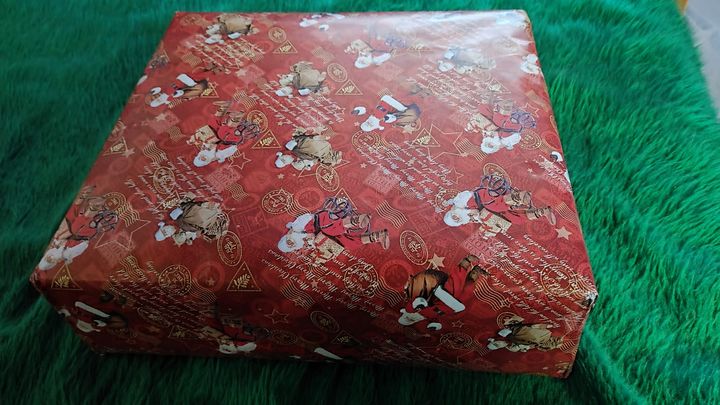 🧑‍🎄 odwiedził nasze psiaki😁. A …