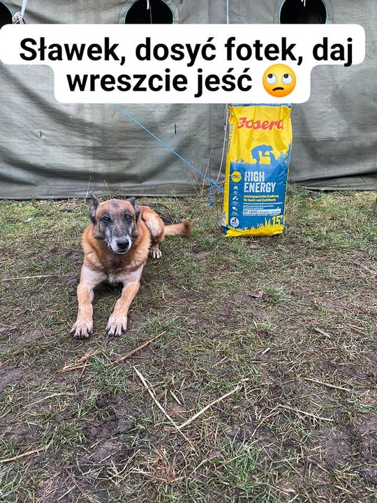 Stiv, w swoim oraz Edka i Aramisa imieniu …