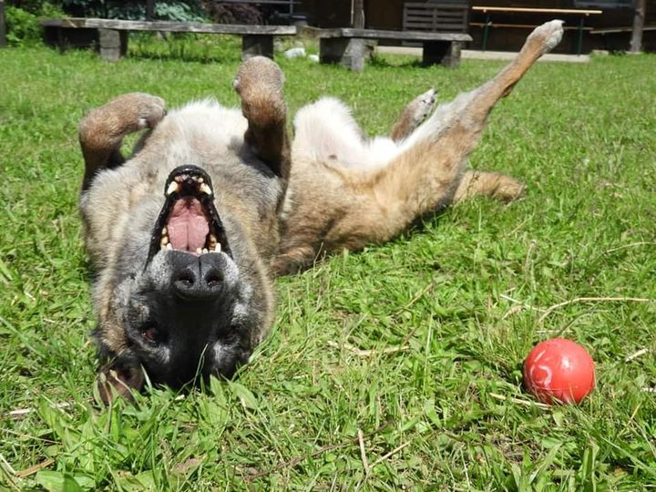 Kolejne święto w Zakątku …