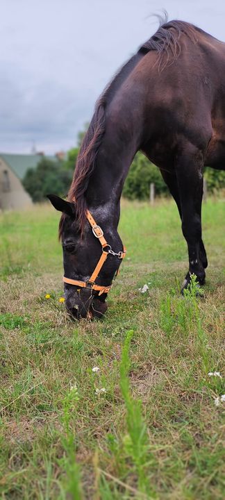 Dzień doberek człowieki😁. Miłej soboty …