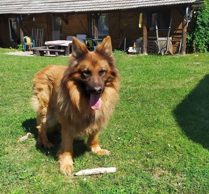 💯lat, 💯 lat, 💯lat dziś śpiewa cały …