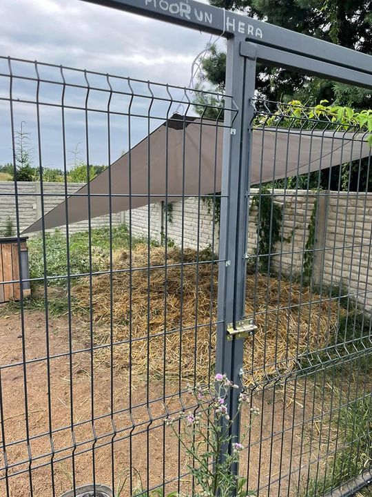 Nasz jedyny wybieg, który przez większość dnia …