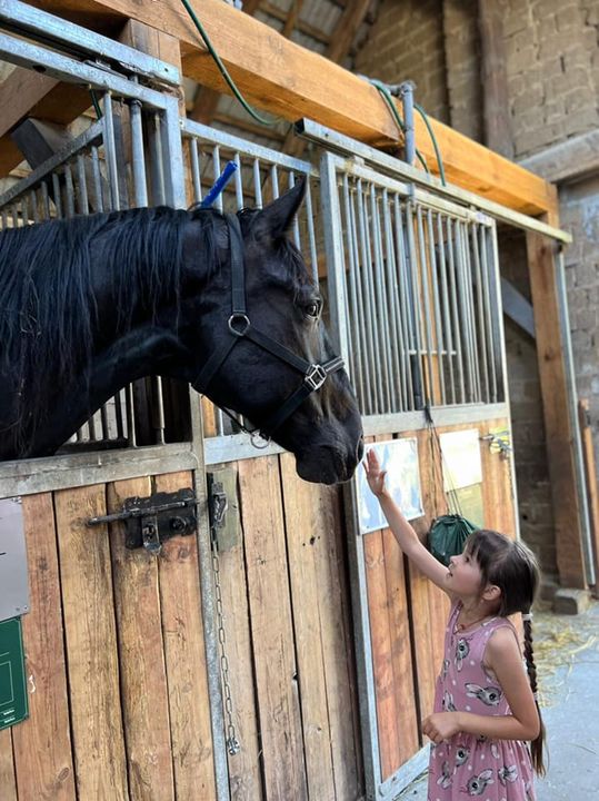 Melanki i Diamanta rozmowy o życiu 😅. Jak my …