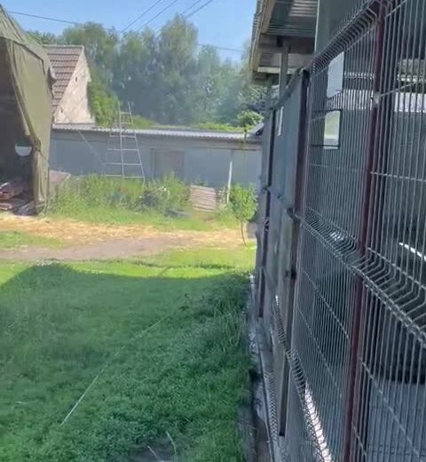 Wysokie temperatury uciążliwe są nie tylko dla …