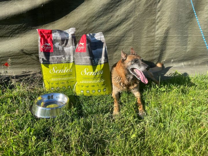 Dzisiaj chcielibyśmy bardzo serdecznie …