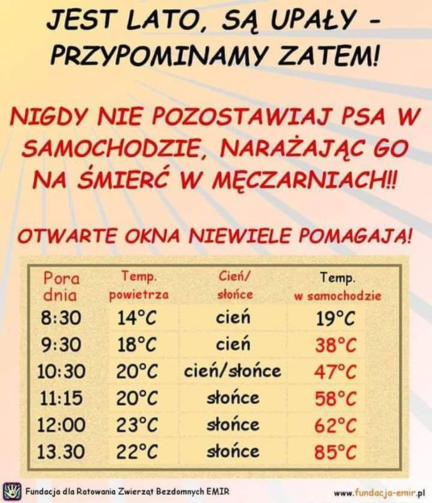 Upały dla psów i innych zwierząt są męczące. …