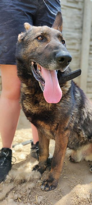 Zabierzcie mię te baby🤬🤬🤬. Czeszom i …