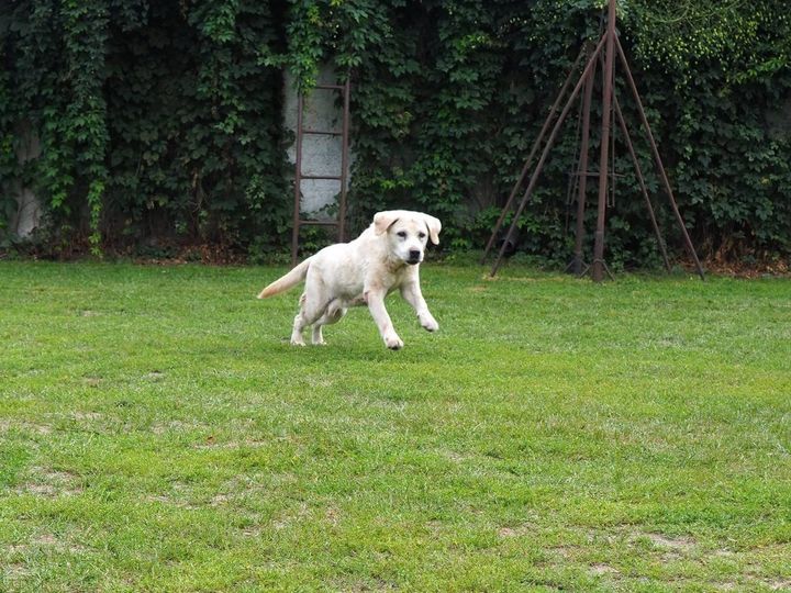 W związku z dużą ilością pytań o …