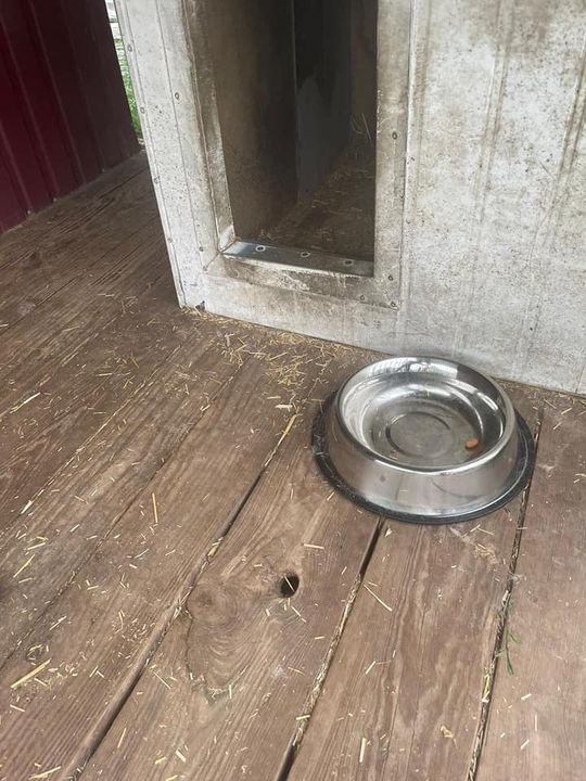 Na koniec dnia chcieliśmy jeszcze gorąco …