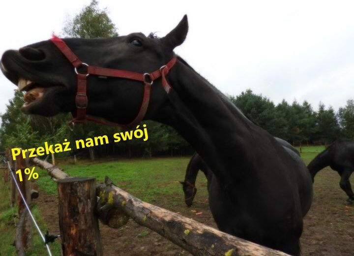 Jeszcze nie rozliczyłeś PIT-u za ubiegły rok? …