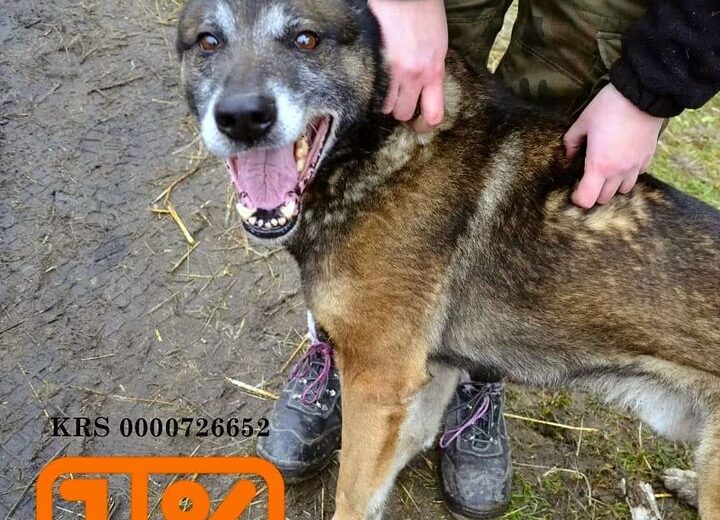 Hejka dwunożne😁.  …