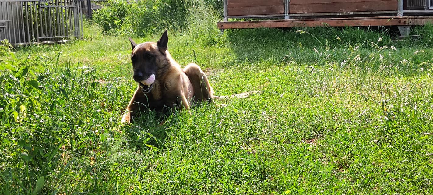 Stiv i Hasan uznali, że najlepszą aktywnością …