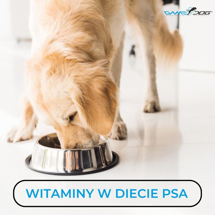 Zdrowie i dobre samopoczucie Twojego pupila …