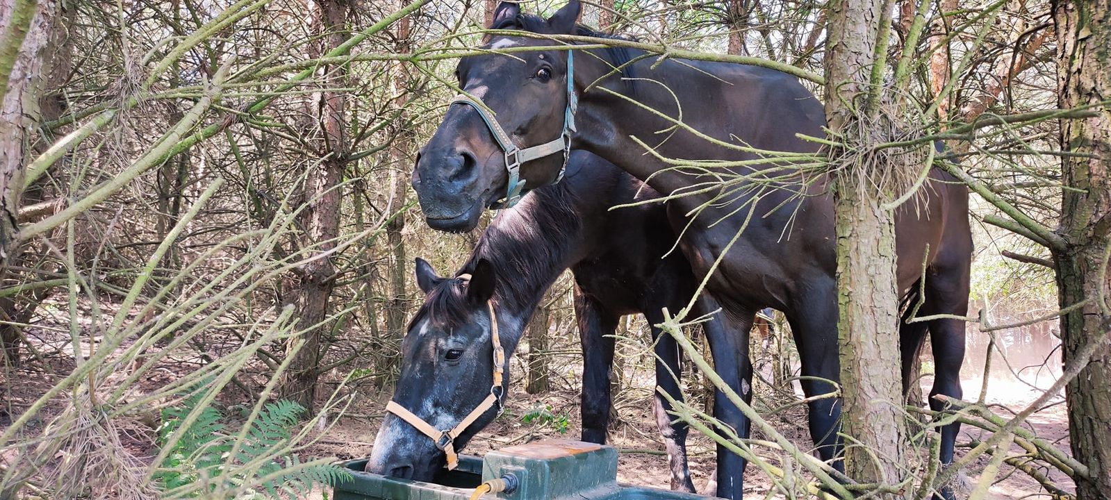 Kolejny upalny dzień przed nami i chyba nie …