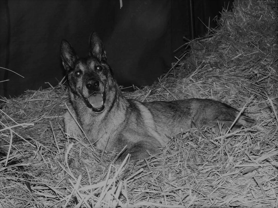 Dziękujemy Wszystkim,którzy trzymali kciuki za …