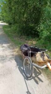 Warto pomagać💪💪.  Bardzo się cieszymy, że …