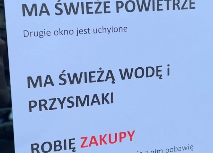 Nie zostawiaj w samochodzie …