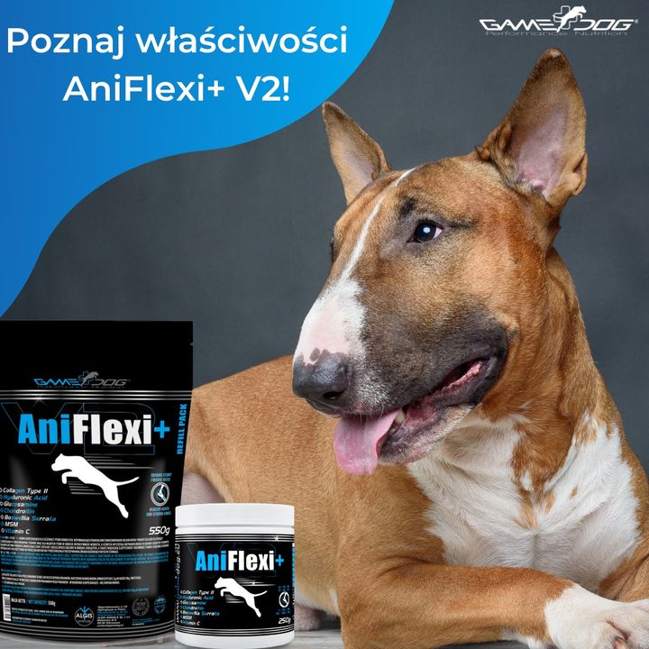 Szukasz produktu, który pomoże Twojemu psu przy …