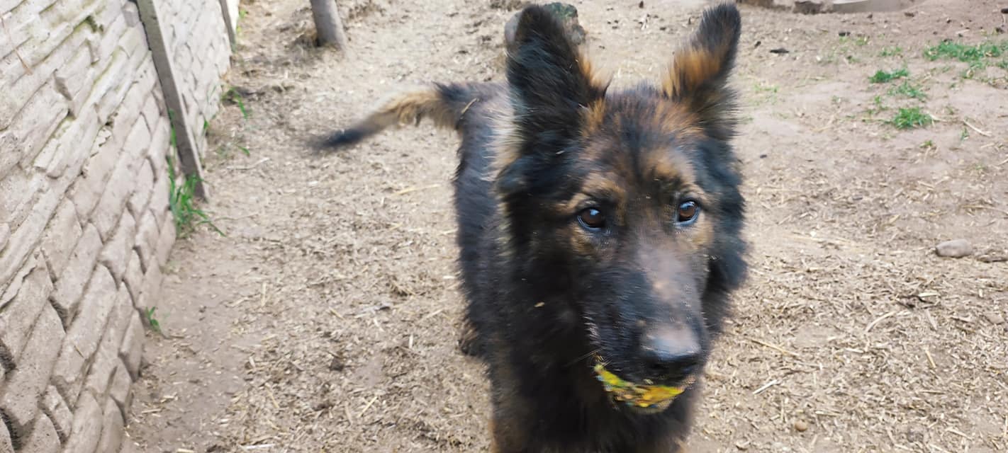 Dzisiaj krótka relacja z weekendu, pracowitego …