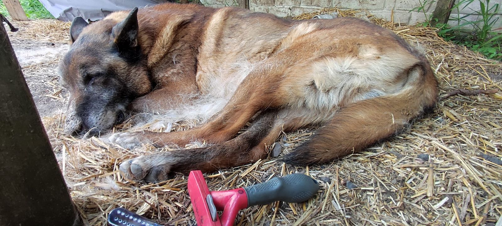 Nie ma to jak uciąć sobie drzemkę podczas …