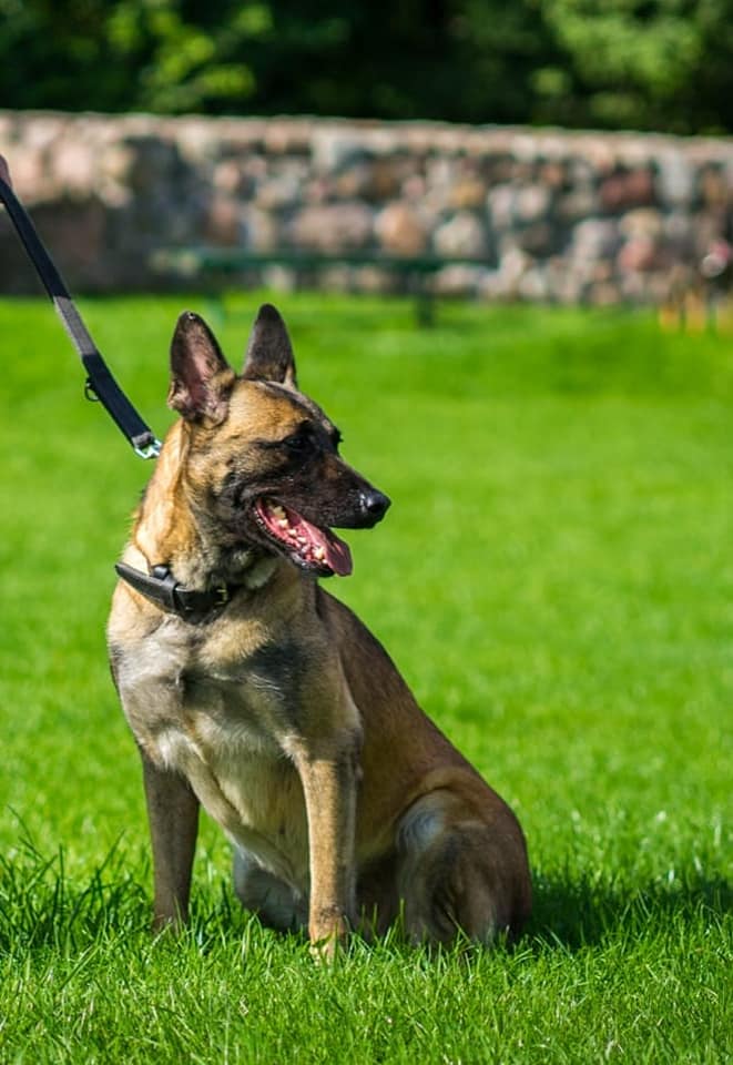 Spokojnej emerytury życzymy dziś Marysi z KMP w …