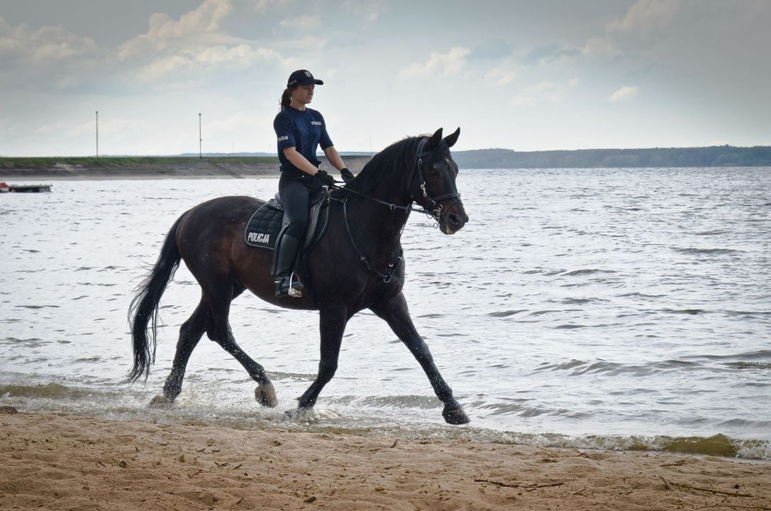 Dzisiaj, czyli 30 kwietnia, przypada także …