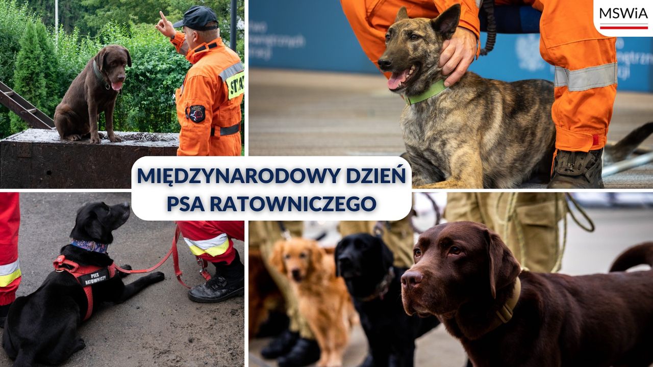 W każdą ostatnią niedzielę kwietnia przypada …