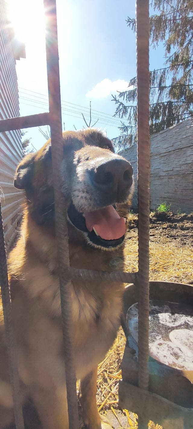 Stiv brzuszek już zapełniony (na chwilę 😅) …