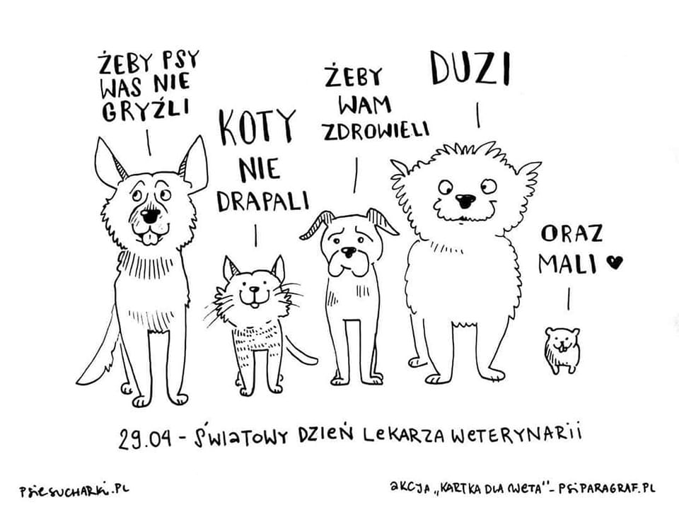 Dzisiaj obchodzimy Światowy Dzień Lekarzy …