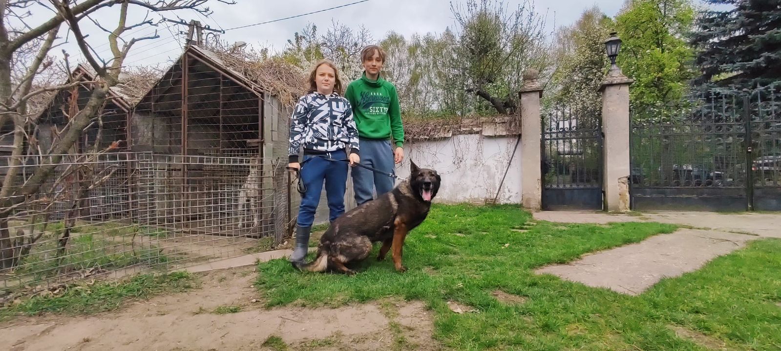 Dzisiaj, do stałej grupy naszych wolontariuszy, …