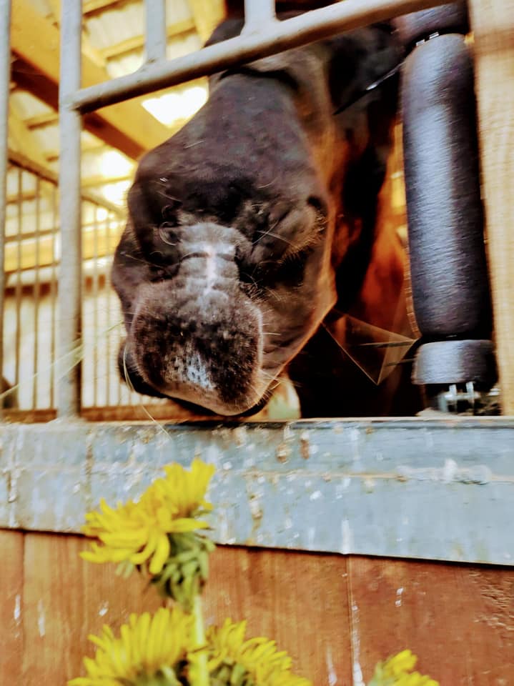 Większość z nas nie lubi poniedziałku 🙄. …